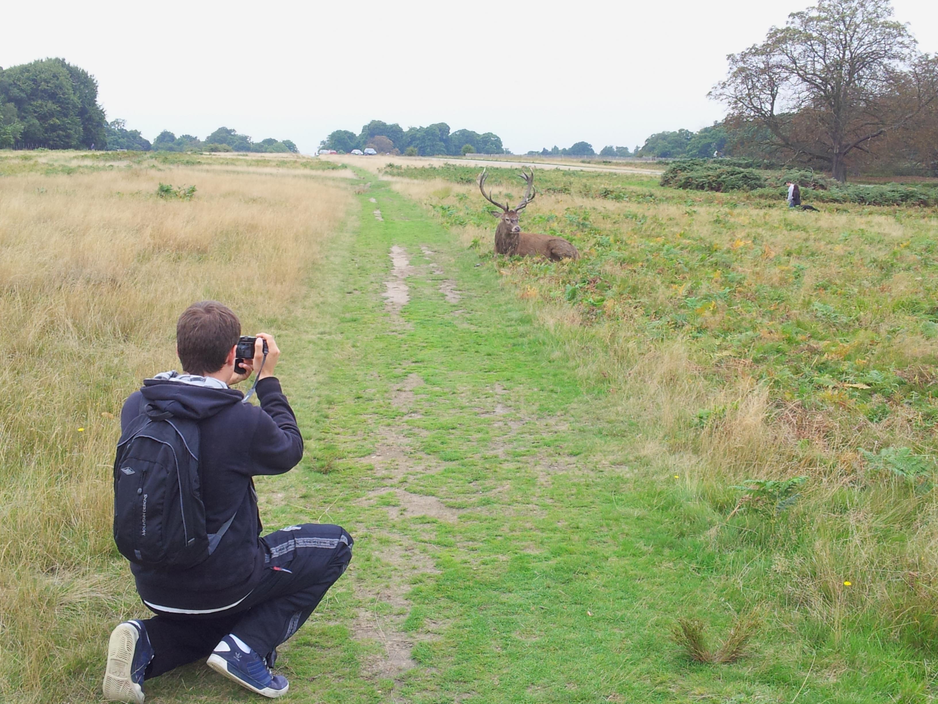 Name:  Deer (8).jpg
Views: 810
Size:  939.5 KB