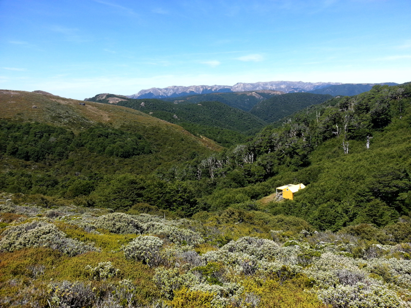 Name:  Te Puke Hut 800.jpg
Views: 409
Size:  682.0 KB