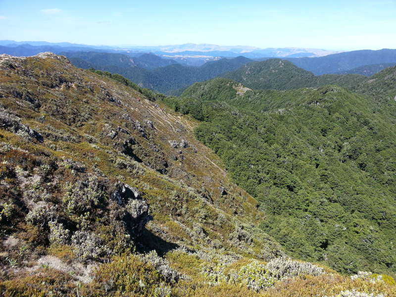 Name:  Te Puke area 800.jpg
Views: 407
Size:  703.9 KB