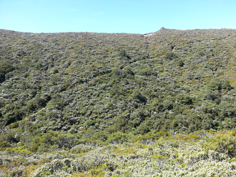 Name:  Near Te Puke Hut 800.jpg
Views: 367
Size:  738.9 KB