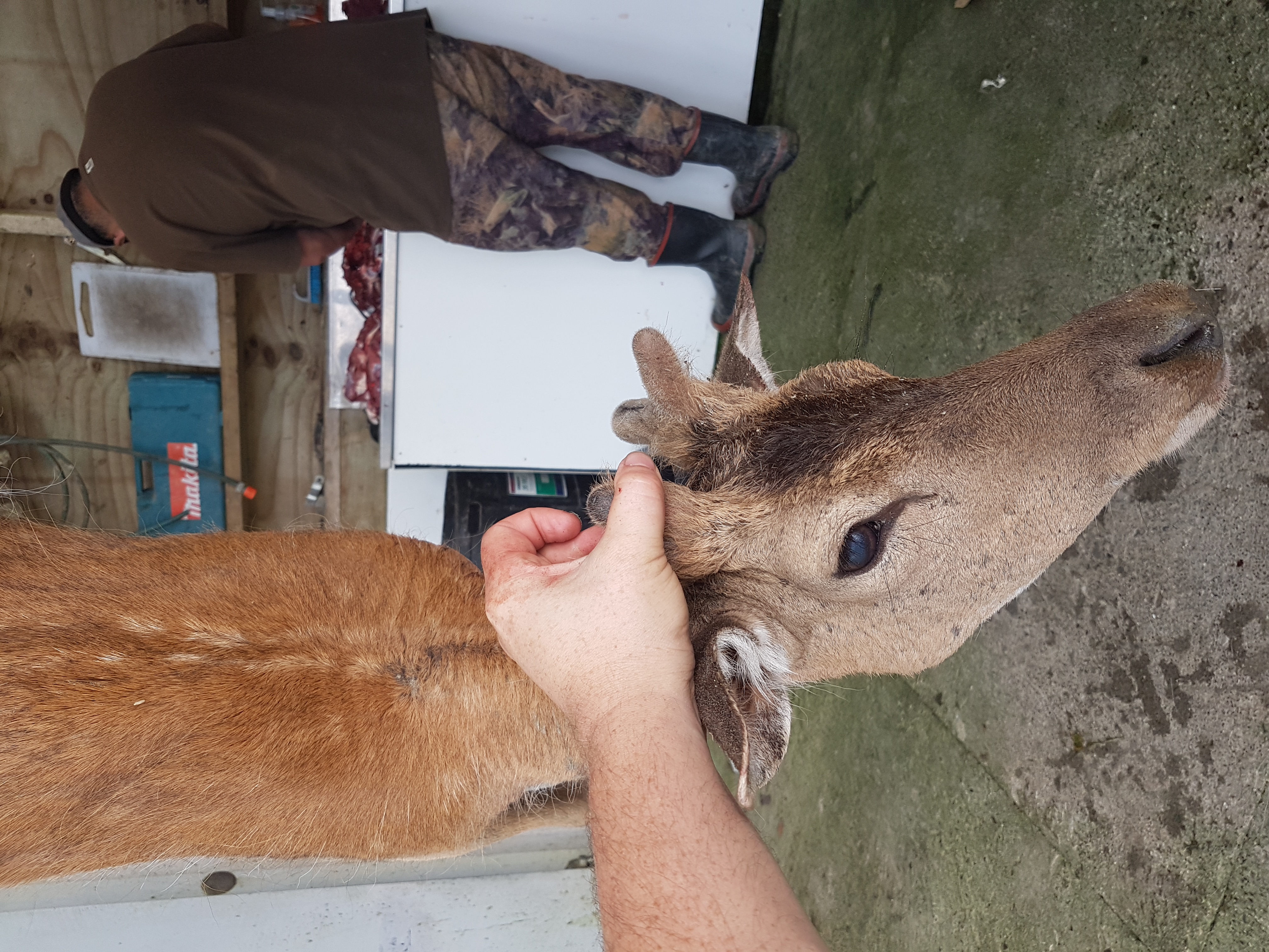 Name:  20201220_091424.jpg
Views: 921
Size:  4.34 MB