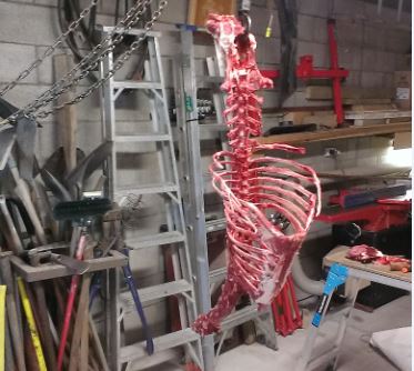Name:  Bones.JPG
Views: 374
Size:  37.0 KB