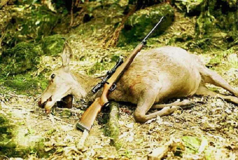 Name:  HUNTING SLIDES (24).jpg
Views: 547
Size:  177.9 KB