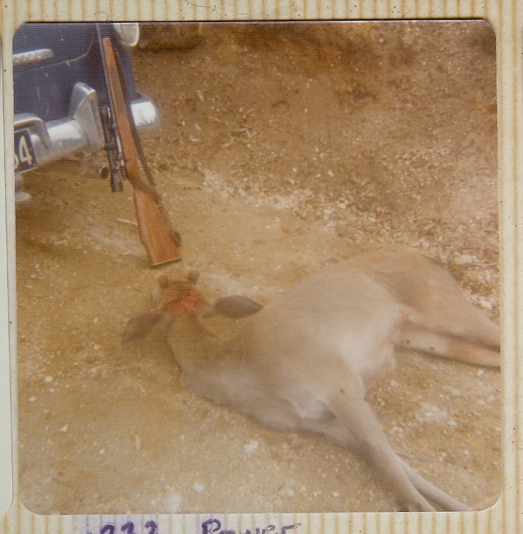 Name:  12.jpg
Views: 431
Size:  234.1 KB