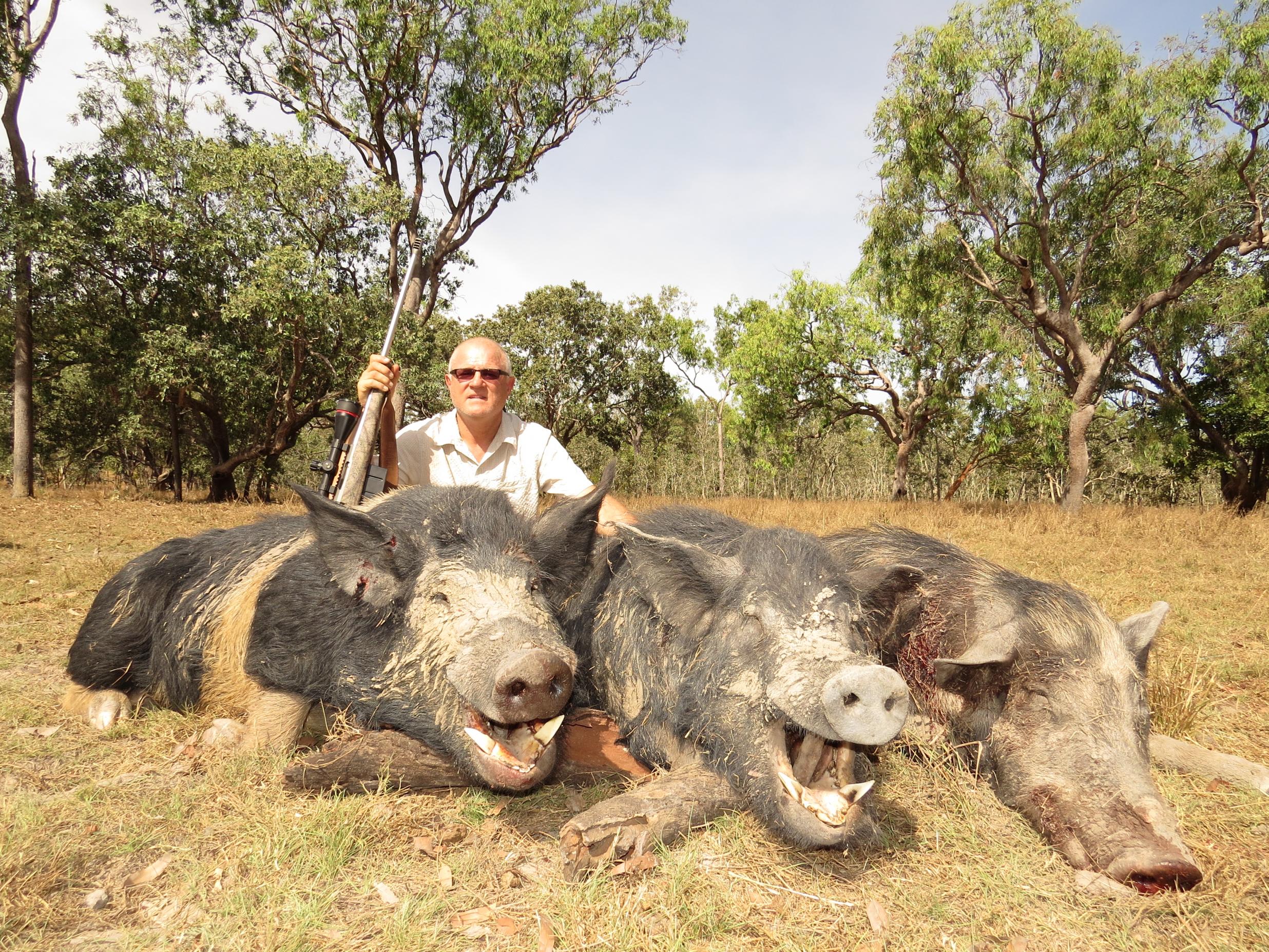 Name:  NT Pigs 2013.jpg
Views: 1022
Size:  1.18 MB