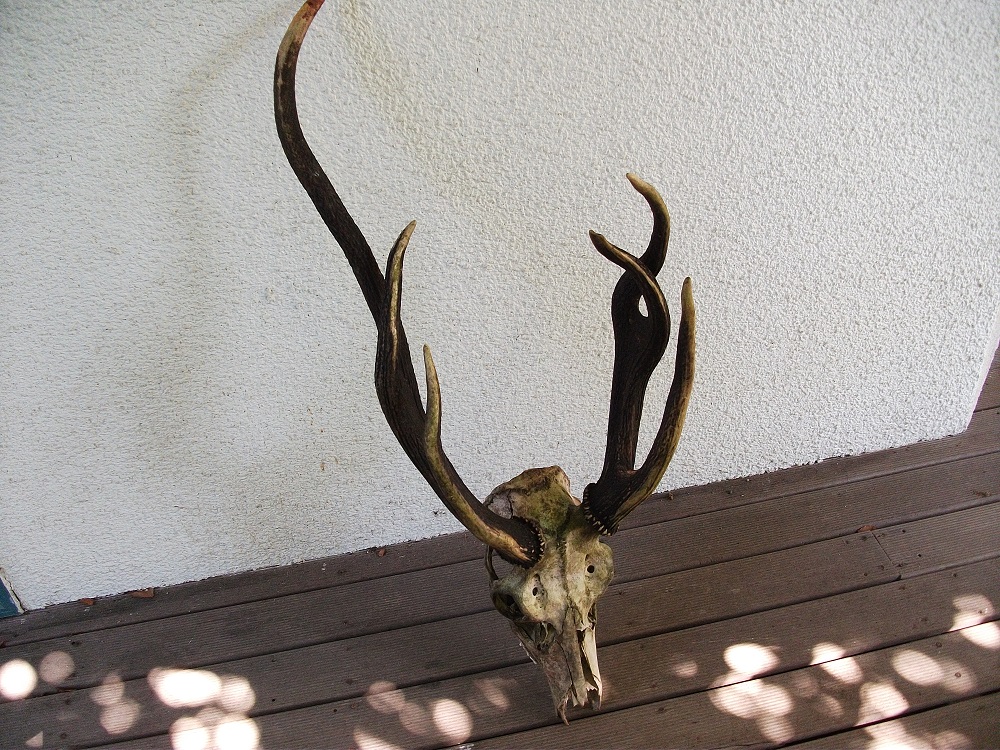 Name:  DSCF1114.JPG
Views: 2136
Size:  472.1 KB