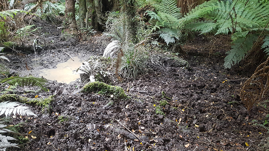 Name:  wallow.jpg
Views: 450
Size:  630.9 KB
