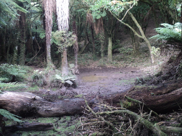 Name:  picture 01 2913.jpg
Views: 349
Size:  164.4 KB