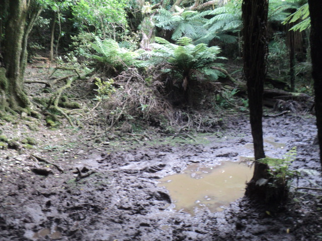 Name:  picture 01 2916.jpg
Views: 349
Size:  164.2 KB