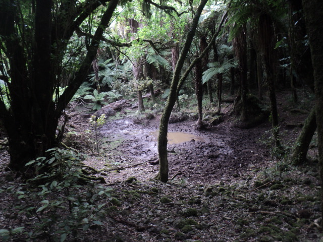 Name:  picture 01 2921.jpg
Views: 348
Size:  164.2 KB