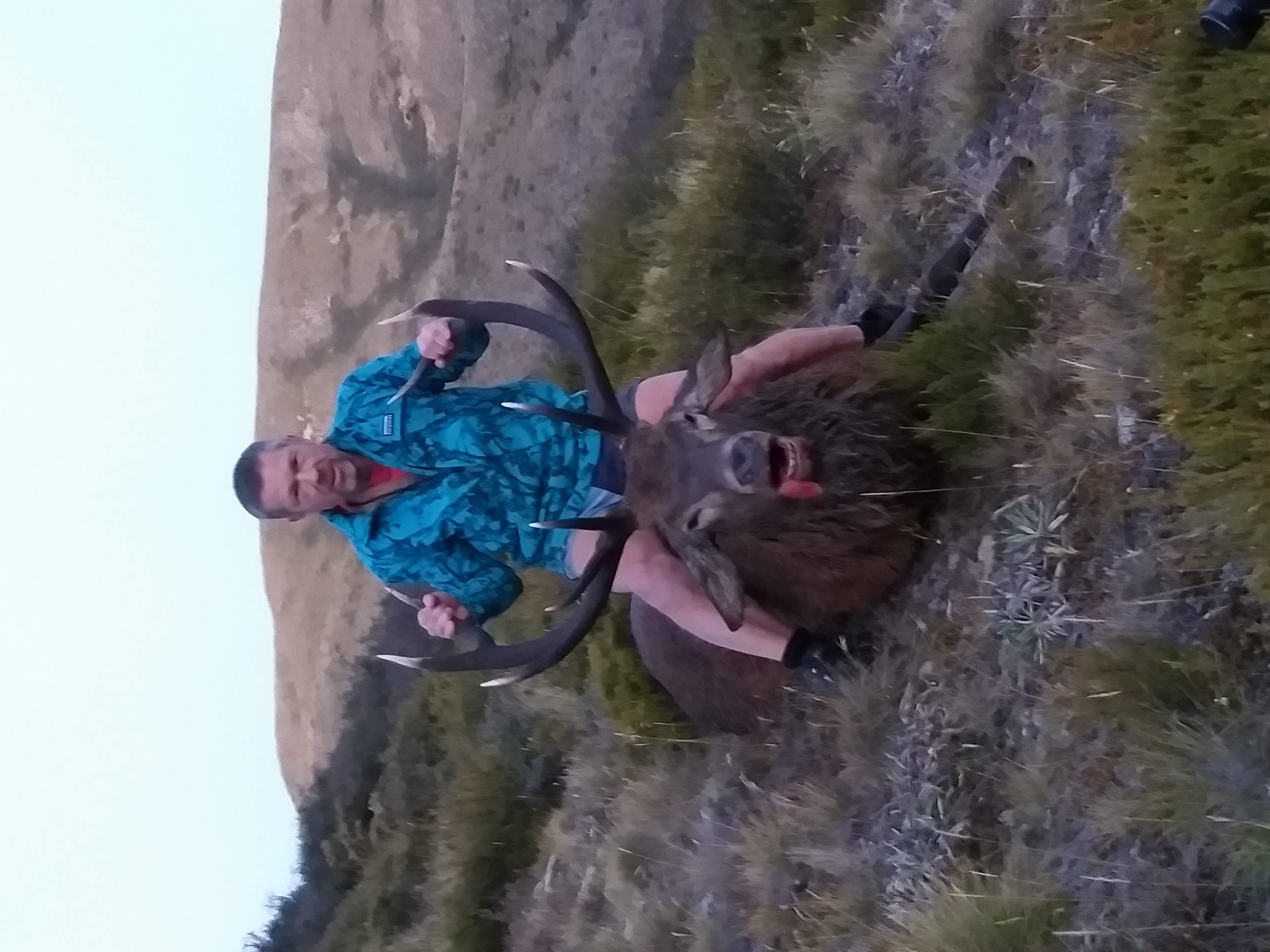 Name:  9 pointer shot by Wozza - Copy.jpg
Views: 1289
Size:  541.2 KB