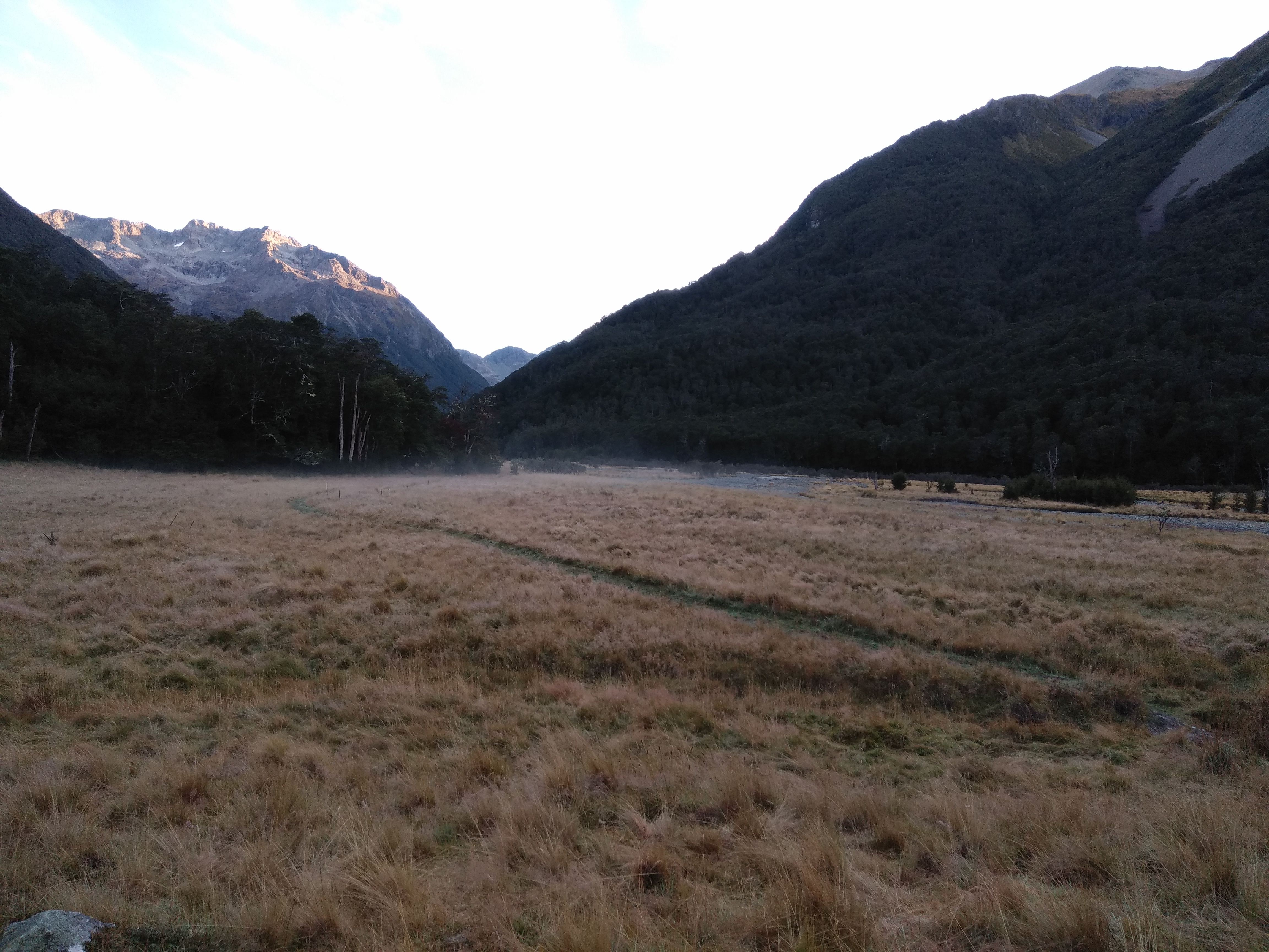 Name:  IMG_20210330_080606.jpg
Views: 766
Size:  4.35 MB