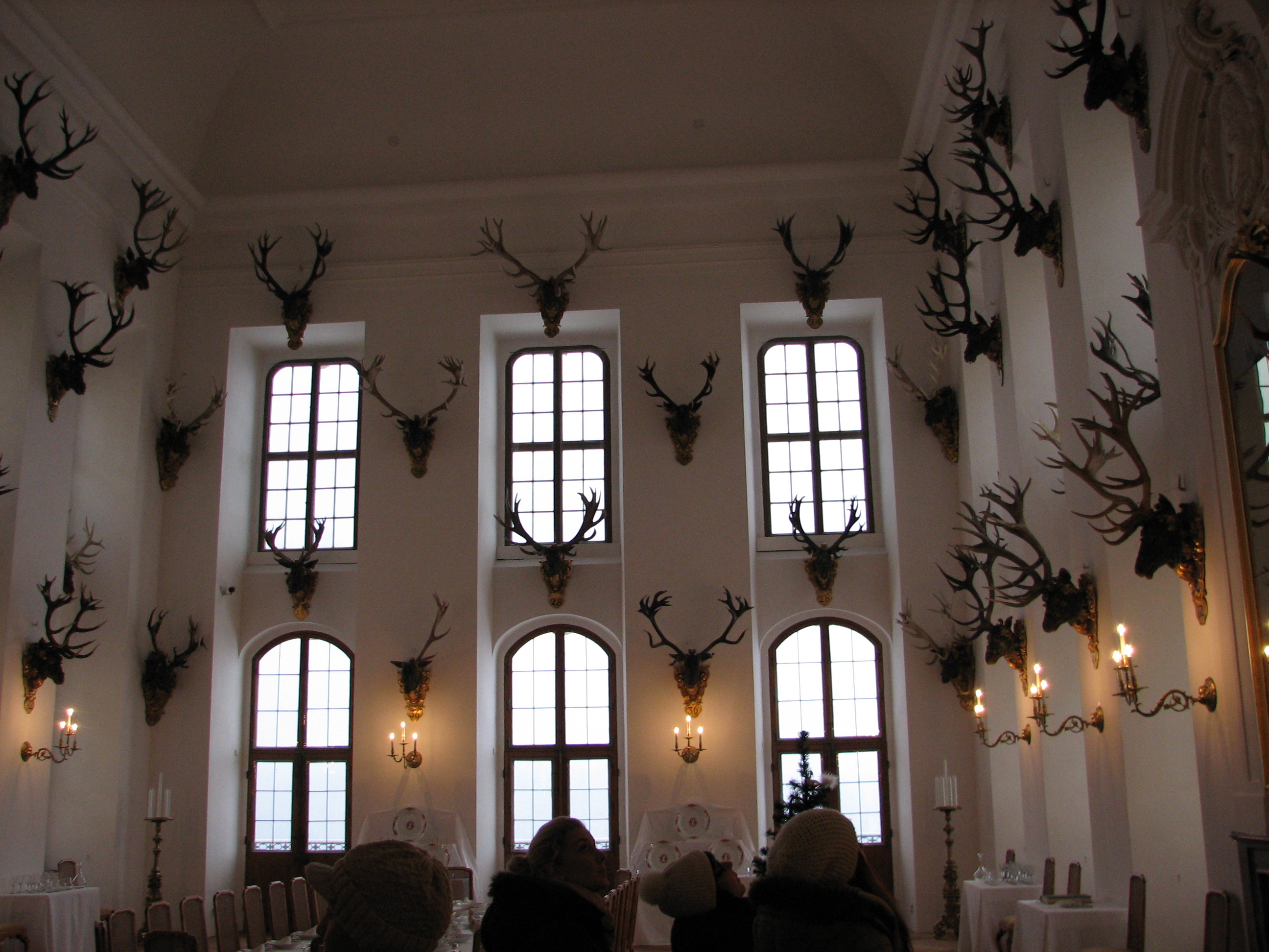 Name:  IMG_1887 - Copy.JPG
Views: 761
Size:  1.19 MB