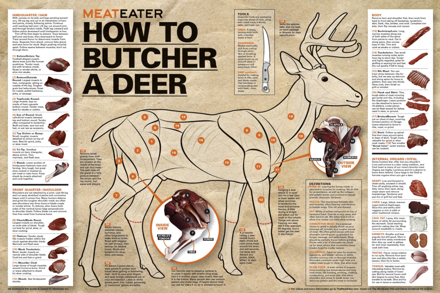 Name:  Deer meat cut chart.JPG
Views: 274
Size:  469.3 KB