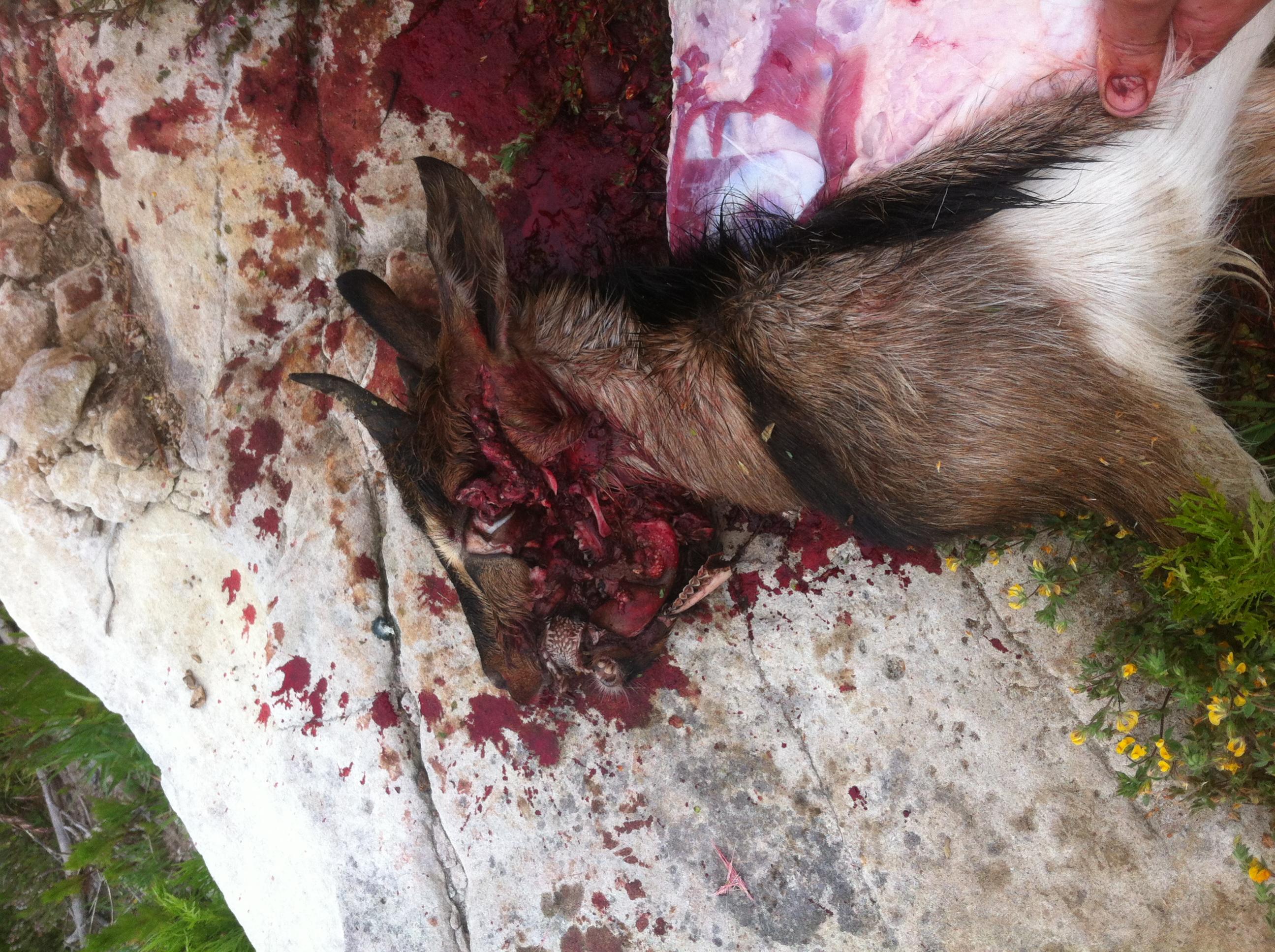 Name:  photo 1.jpg
Views: 870
Size:  836.6 KB