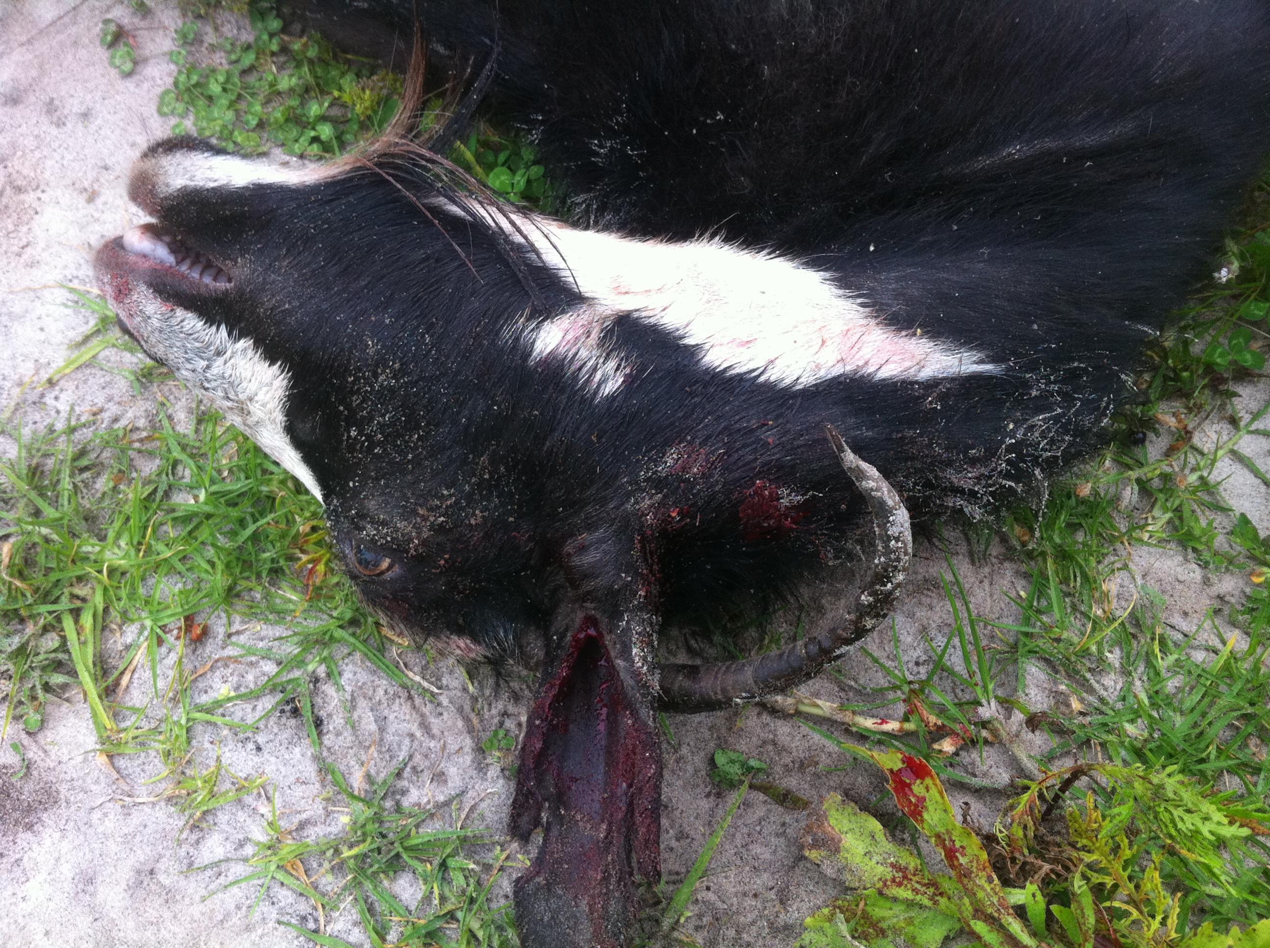 Name:  photo 3.jpg
Views: 493
Size:  893.6 KB