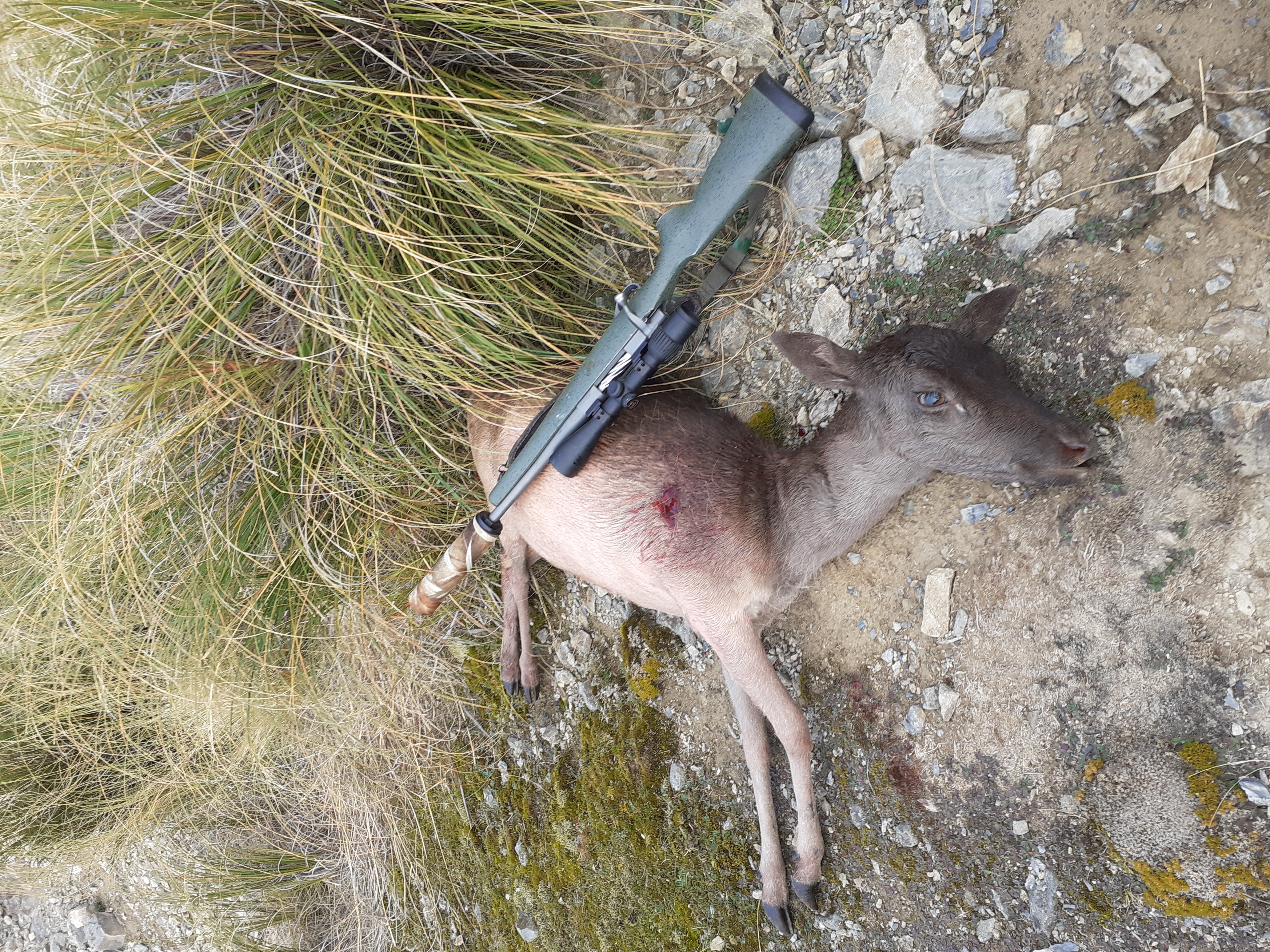Name:  165 TGX on Fallow.jpg
Views: 618
Size:  7.24 MB