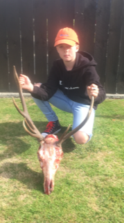 Name:  Bearsy first stag (2).PNG
Views: 721
Size:  99.8 KB