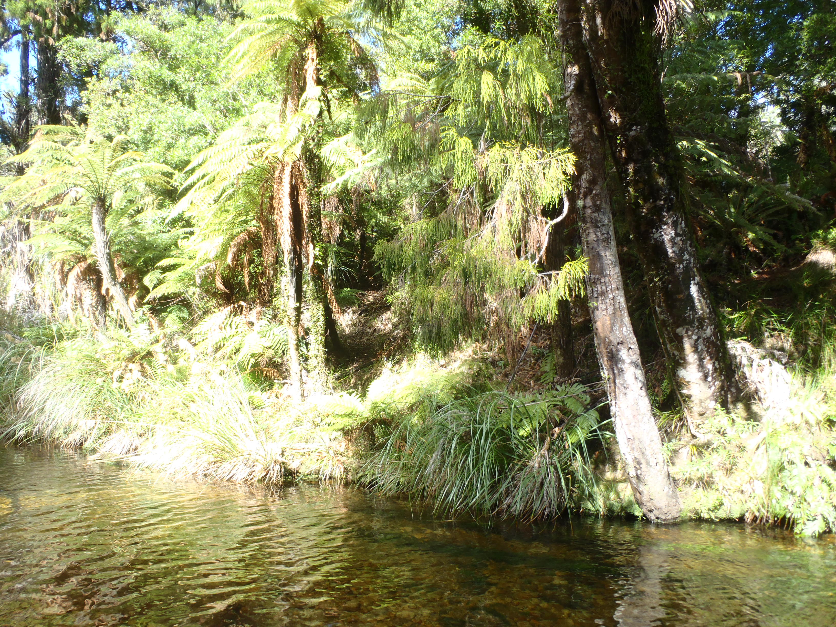 Name:  2021-04-16 002.JPG
Views: 504
Size:  1.78 MB