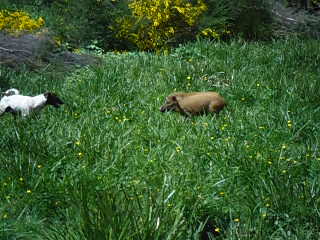 Name:  SAM_0040.JPG
Views: 413
Size:  188.6 KB