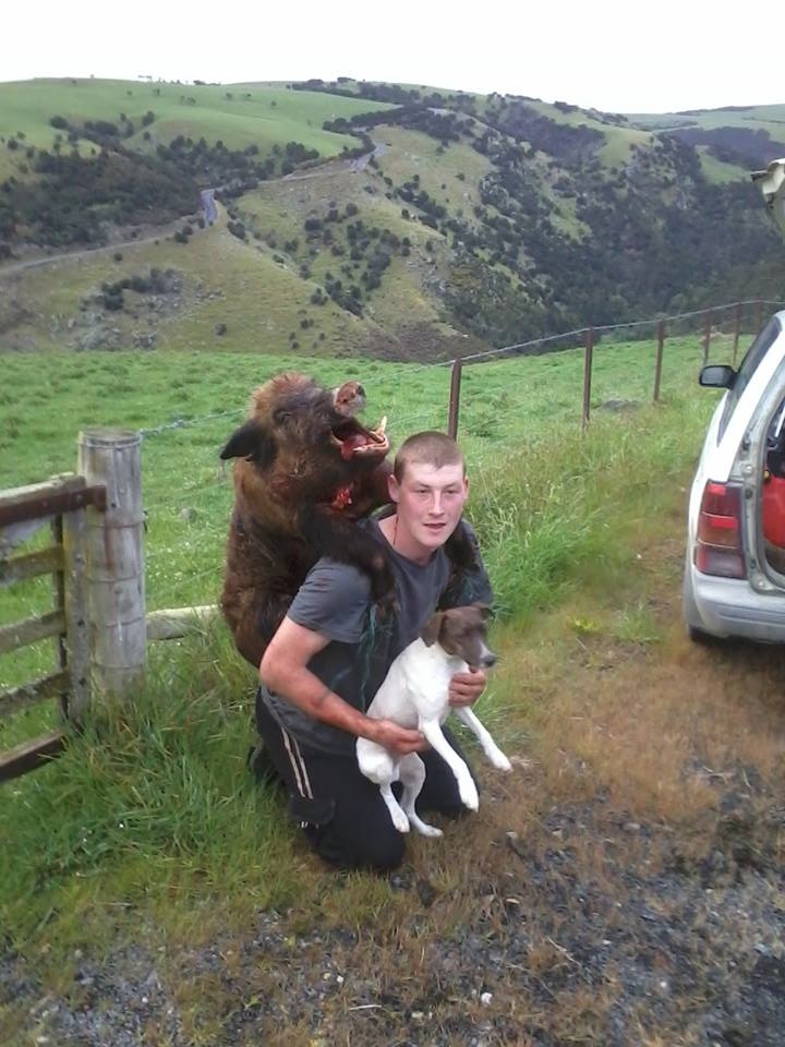 Name:  boar.jpg
Views: 1430
Size:  187.8 KB