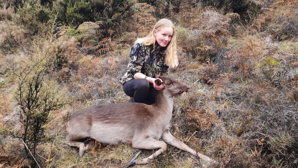 Name:  Fallow down.jpg
Views: 760
Size:  233.6 KB