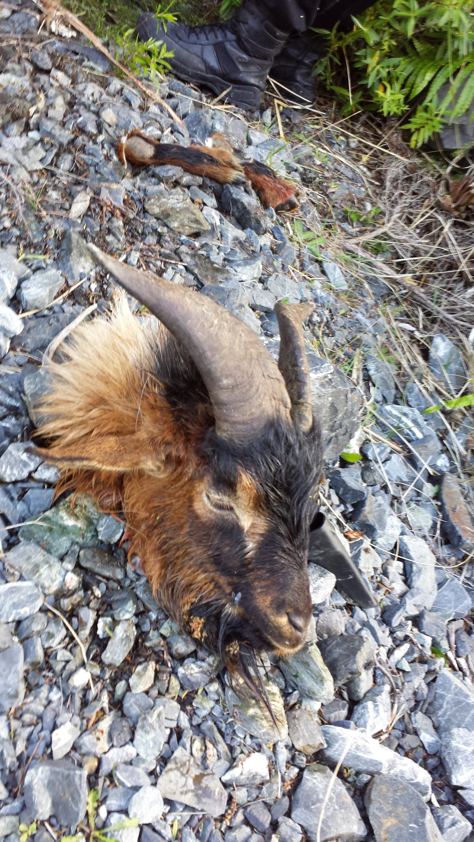 Name:  20131130_190145.jpg
Views: 555
Size:  1.03 MB