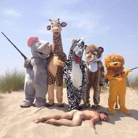 Name:  animals revenge.jpg
Views: 274
Size:  66.0 KB