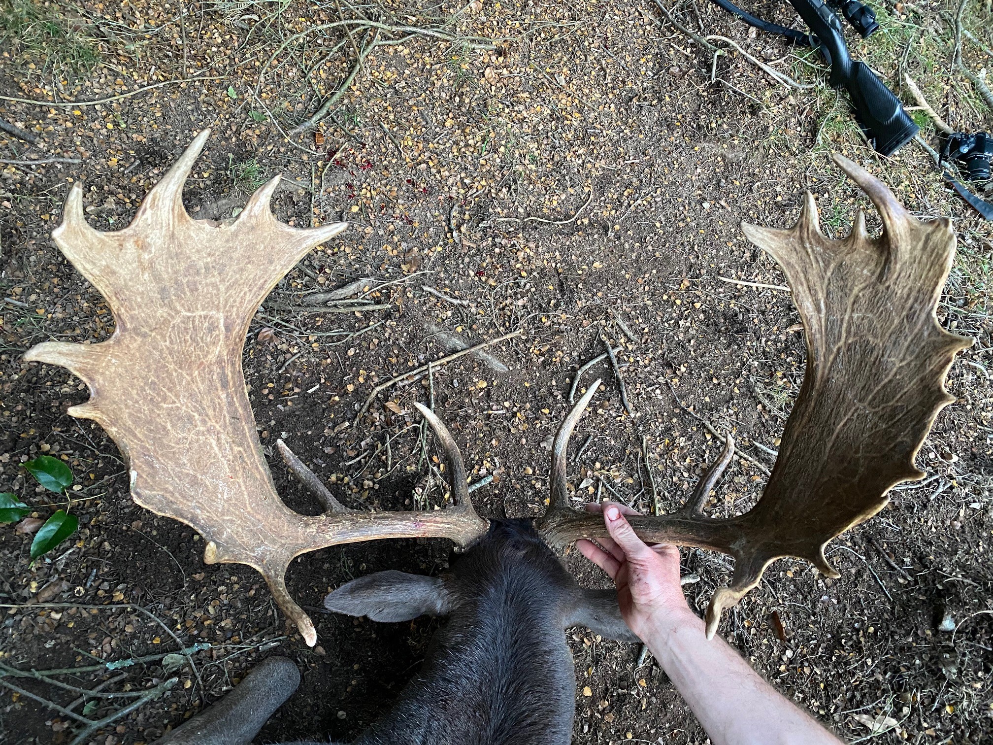 Name:  Fallow 2.jpg
Views: 522
Size:  1.68 MB