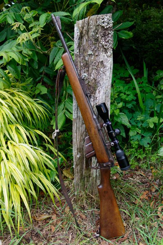 Name:  rifle.jpg
Views: 330
Size:  105.8 KB