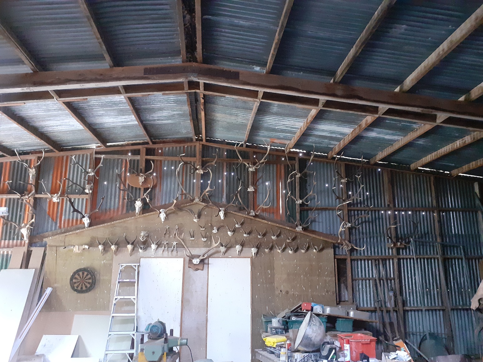 Name:  shed.jpg
Views: 315
Size:  698.3 KB