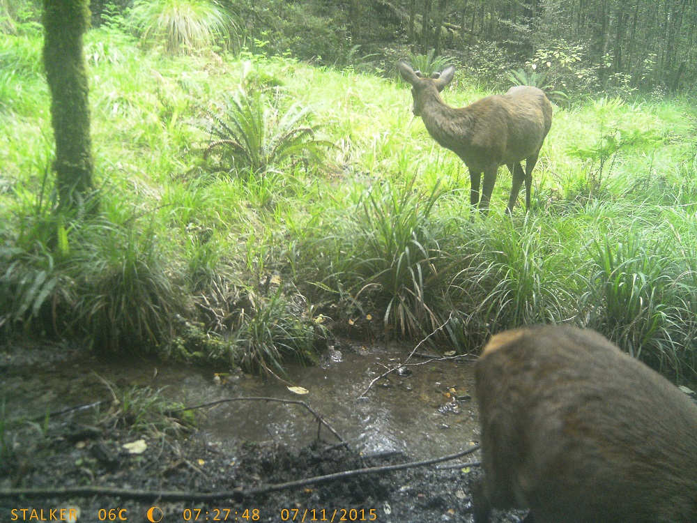 Name:  PTDC0209.JPG
Views: 216
Size:  442.7 KB
