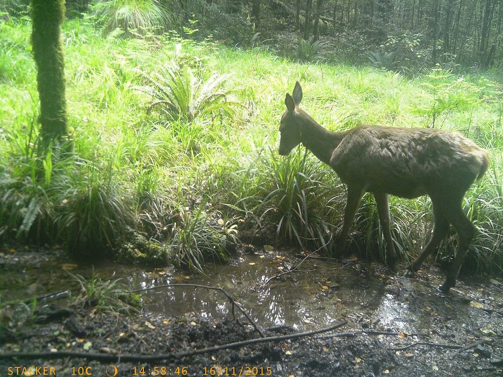 Name:  PTDC0259.JPG
Views: 199
Size:  508.5 KB