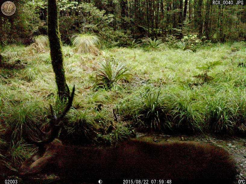 Name:  RCX_0040.JPG
Views: 195
Size:  603.0 KB