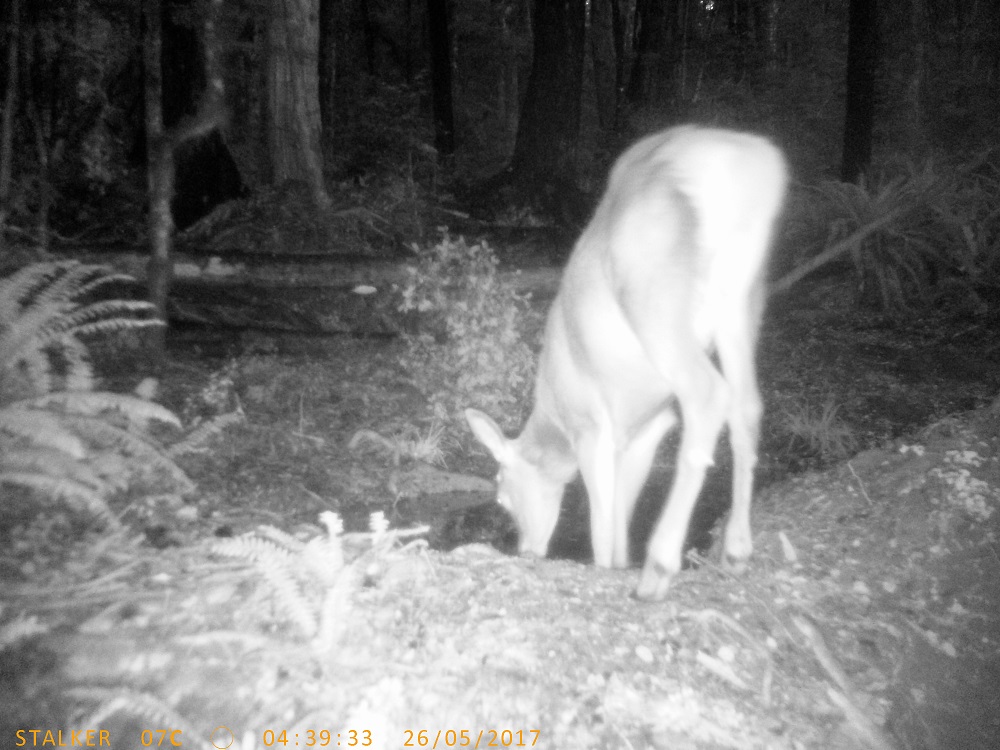 Name:  PTDC1401.JPG
Views: 191
Size:  262.2 KB