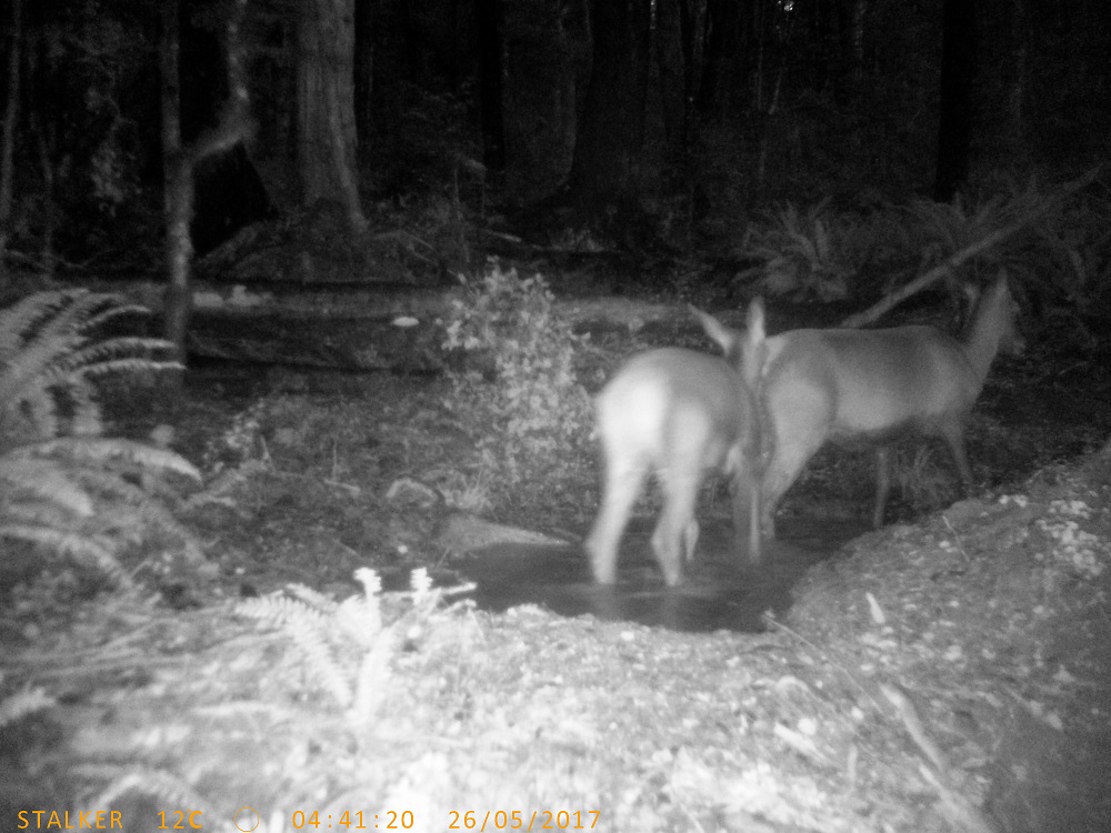 Name:  PTDC1409.JPG
Views: 196
Size:  261.4 KB