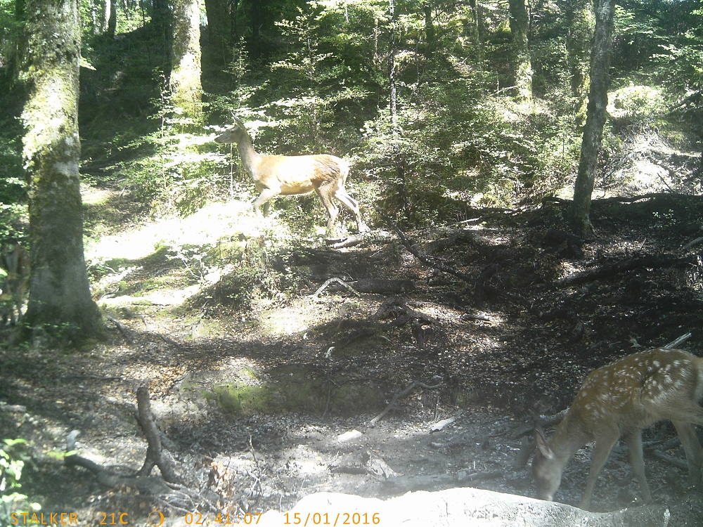 Name:  029.JPG
Views: 183
Size:  518.7 KB