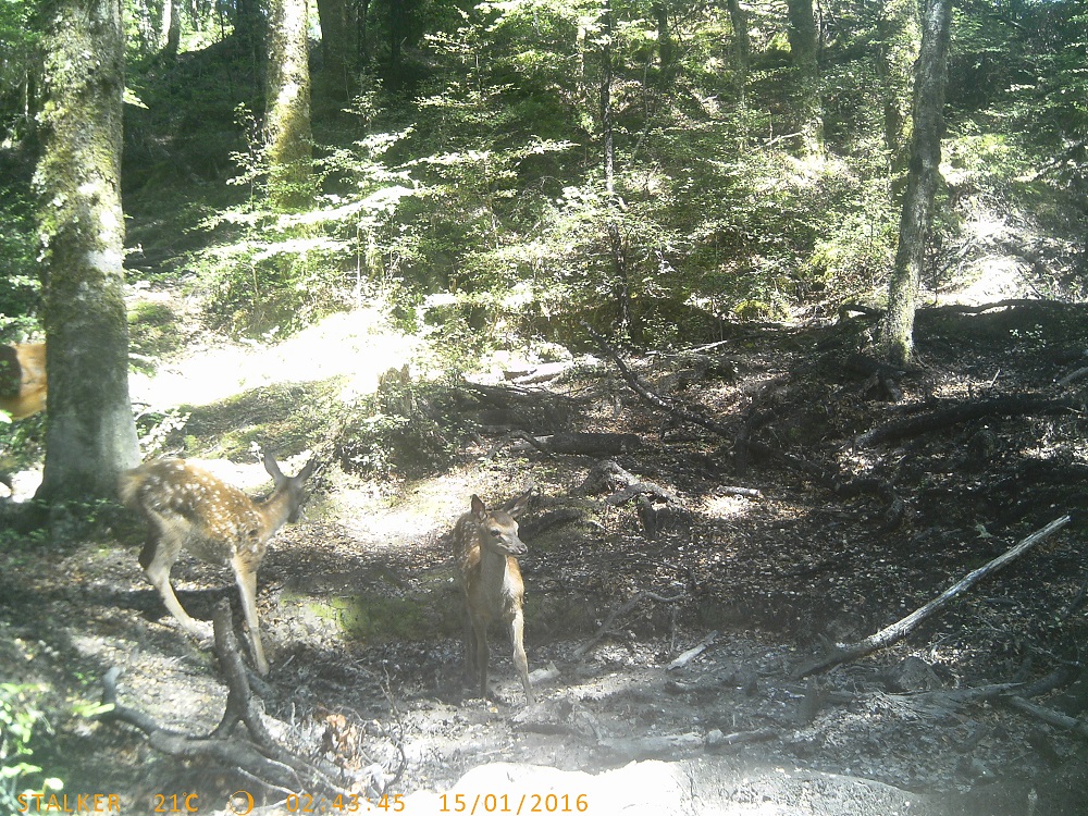Name:  037.JPG
Views: 203
Size:  532.1 KB