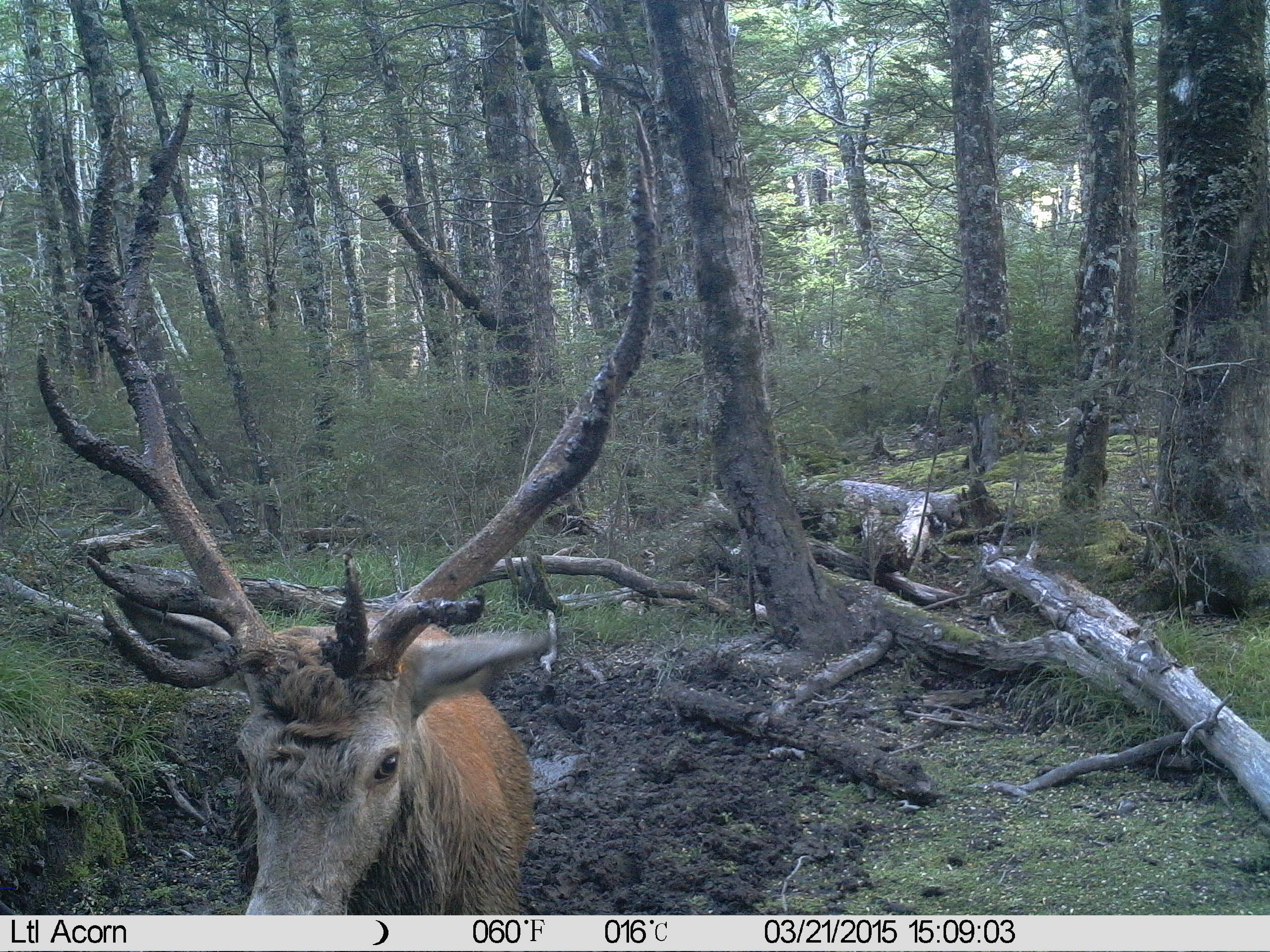 Name:  10pt_stag5.JPG
Views: 530
Size:  1.00 MB
