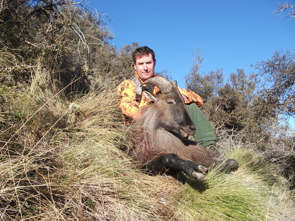 Name:  Hunt tahr 017.JPG
Views: 401
Size:  622.5 KB