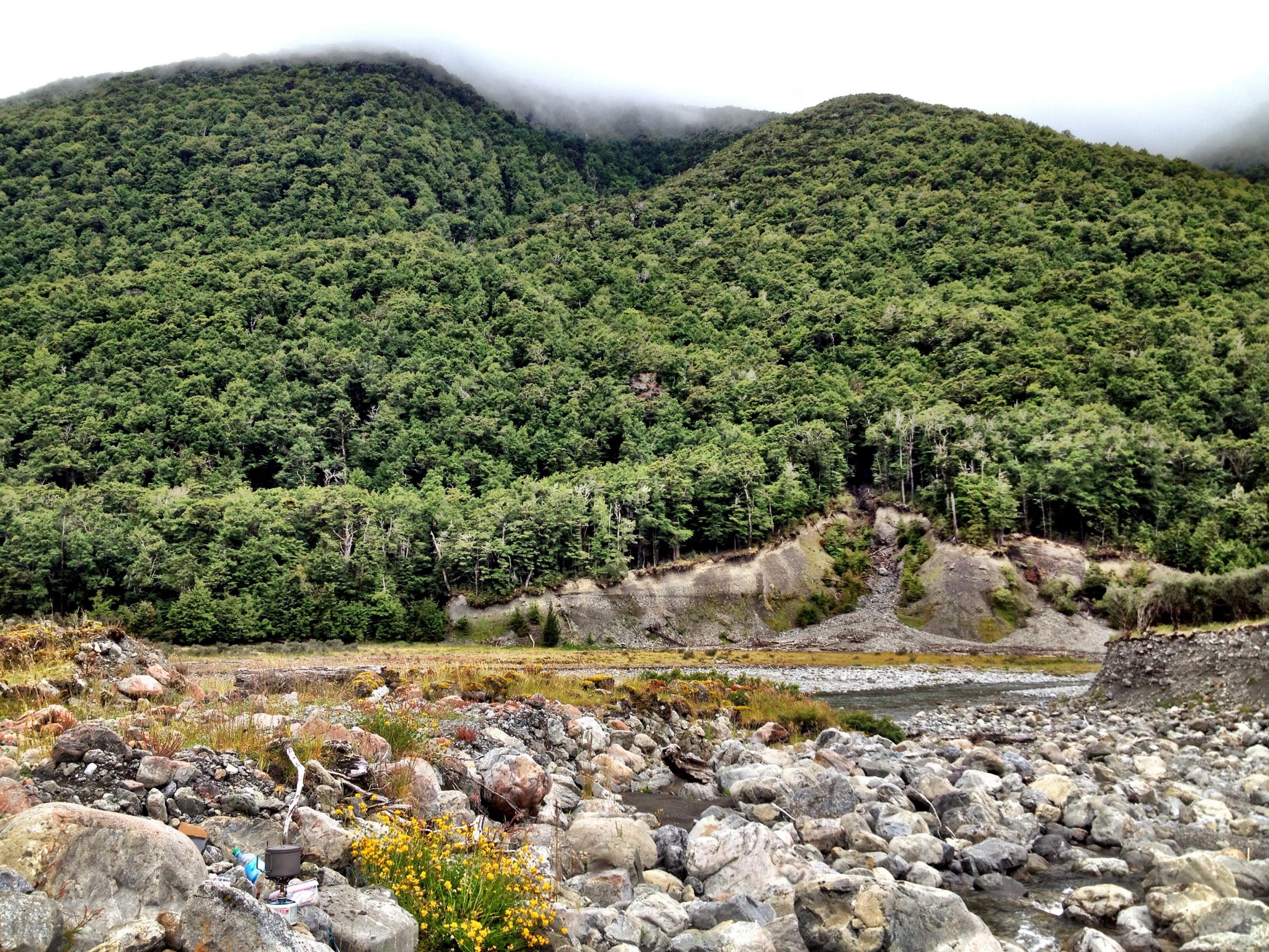 Name:  Creek 2.jpg
Views: 1142
Size:  1.08 MB