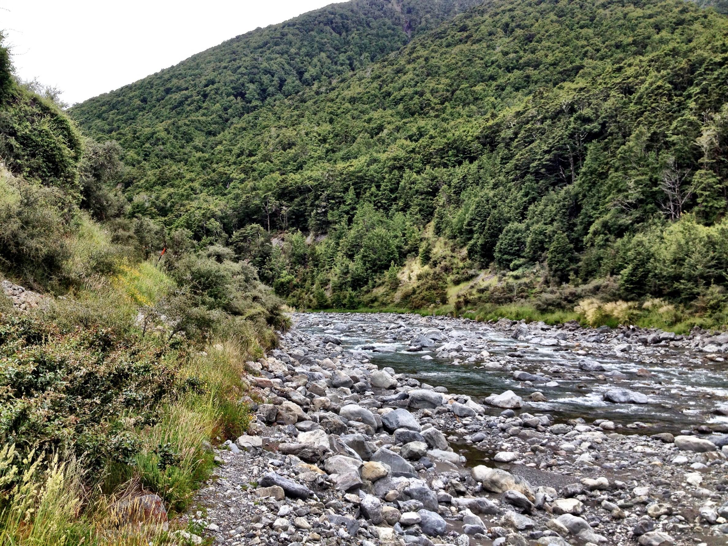 Name:  River 2.jpg
Views: 880
Size:  1.09 MB