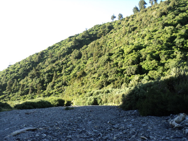 Name:  picture 2750.jpg
Views: 250
Size:  165.0 KB