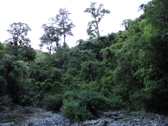 Name:  picture 2752.jpg
Views: 222
Size:  165.3 KB