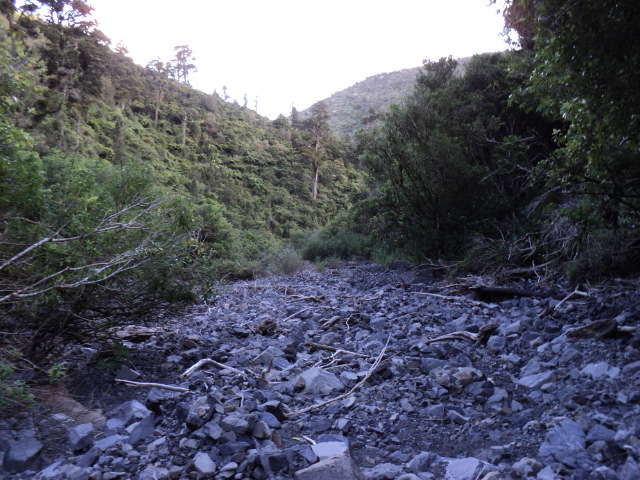 Name:  picture 2753.jpg
Views: 239
Size:  164.2 KB