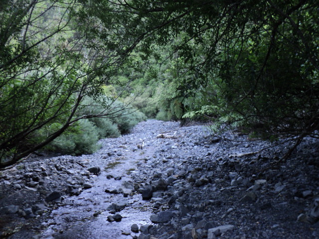 Name:  picture 2754.jpg
Views: 266
Size:  164.9 KB