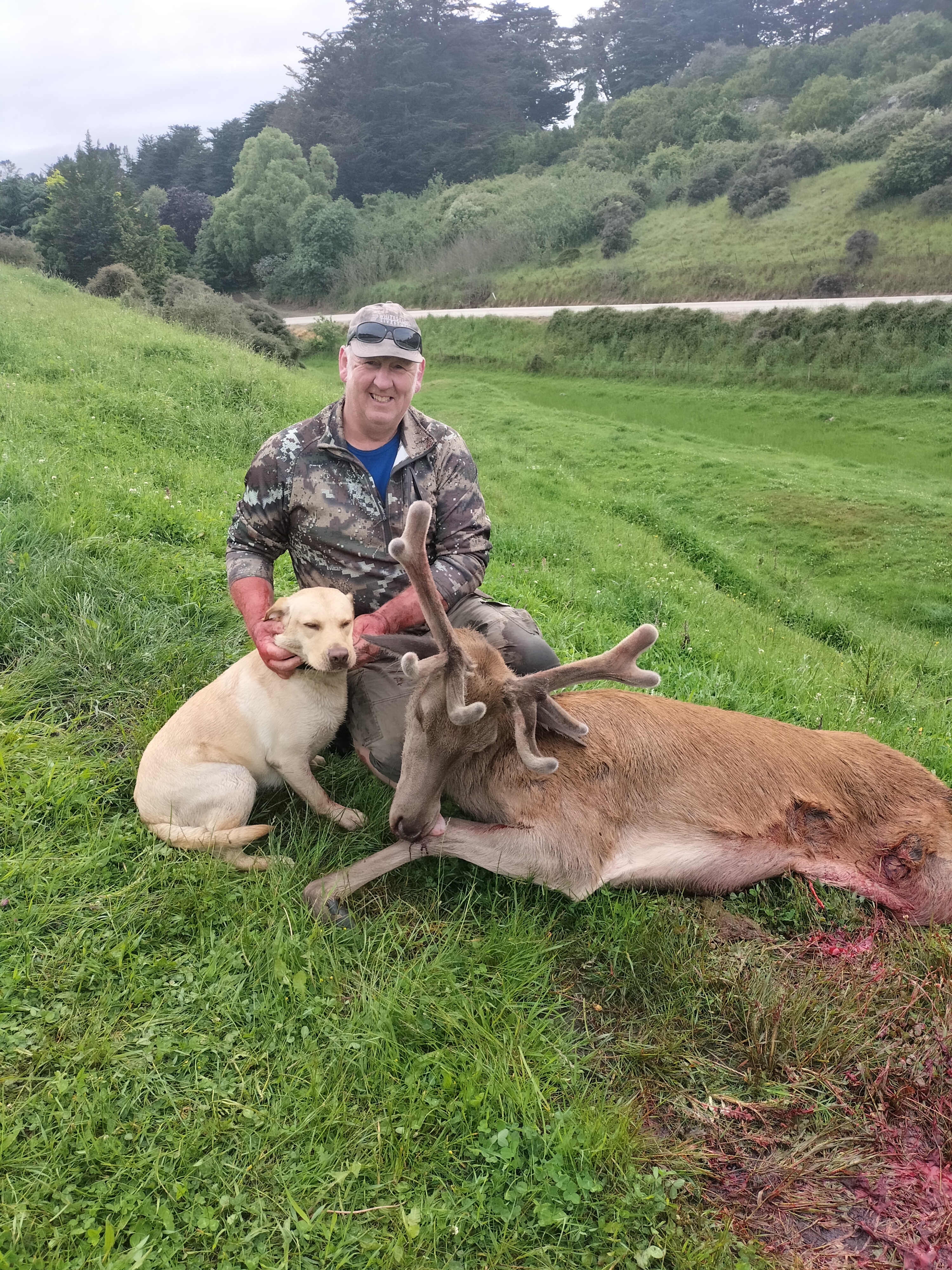 Name:  Mai and stag.jpg
Views: 747
Size:  5.26 MB