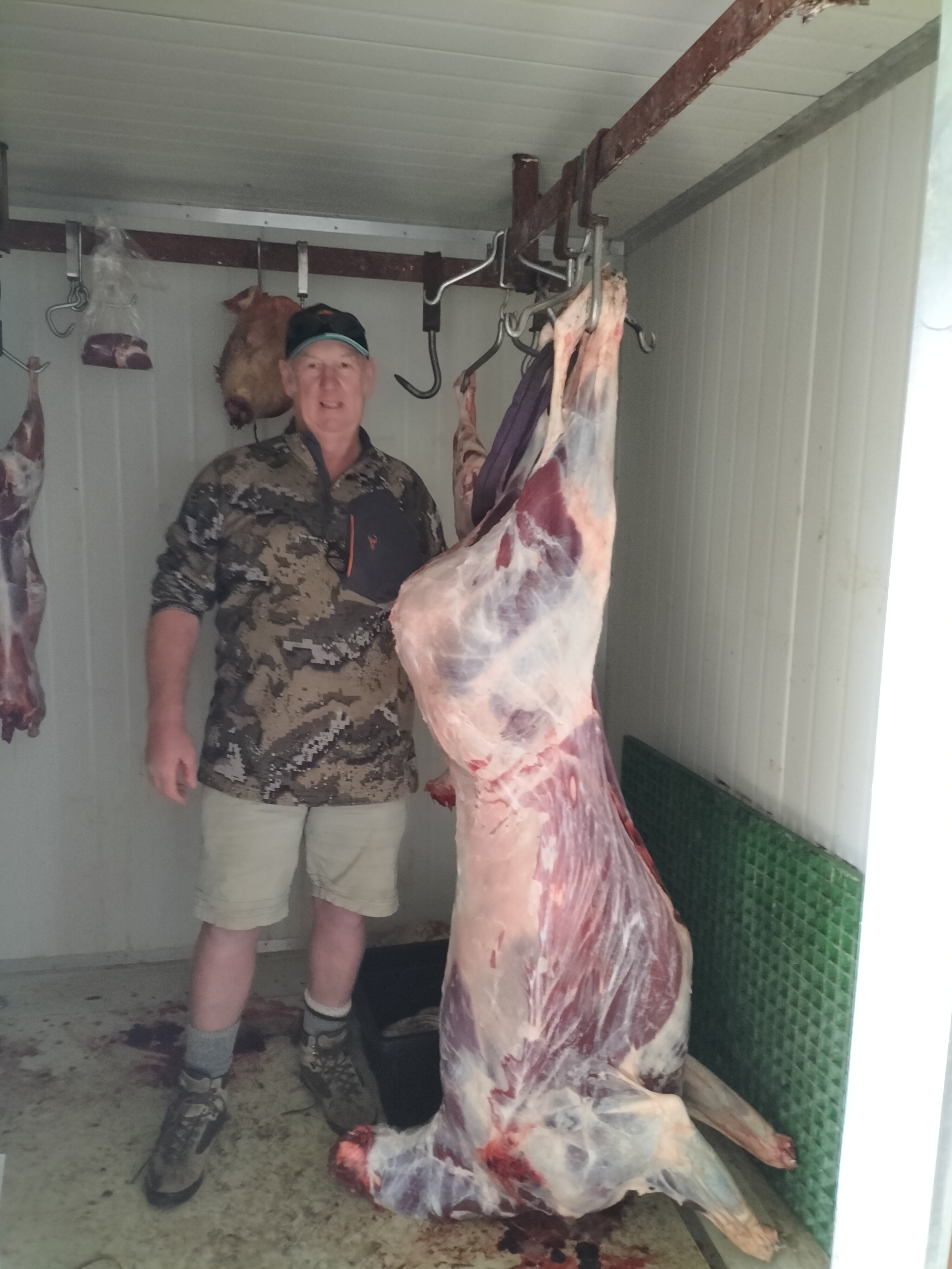 Name:  stag carcase.jpg
Views: 726
Size:  2.08 MB