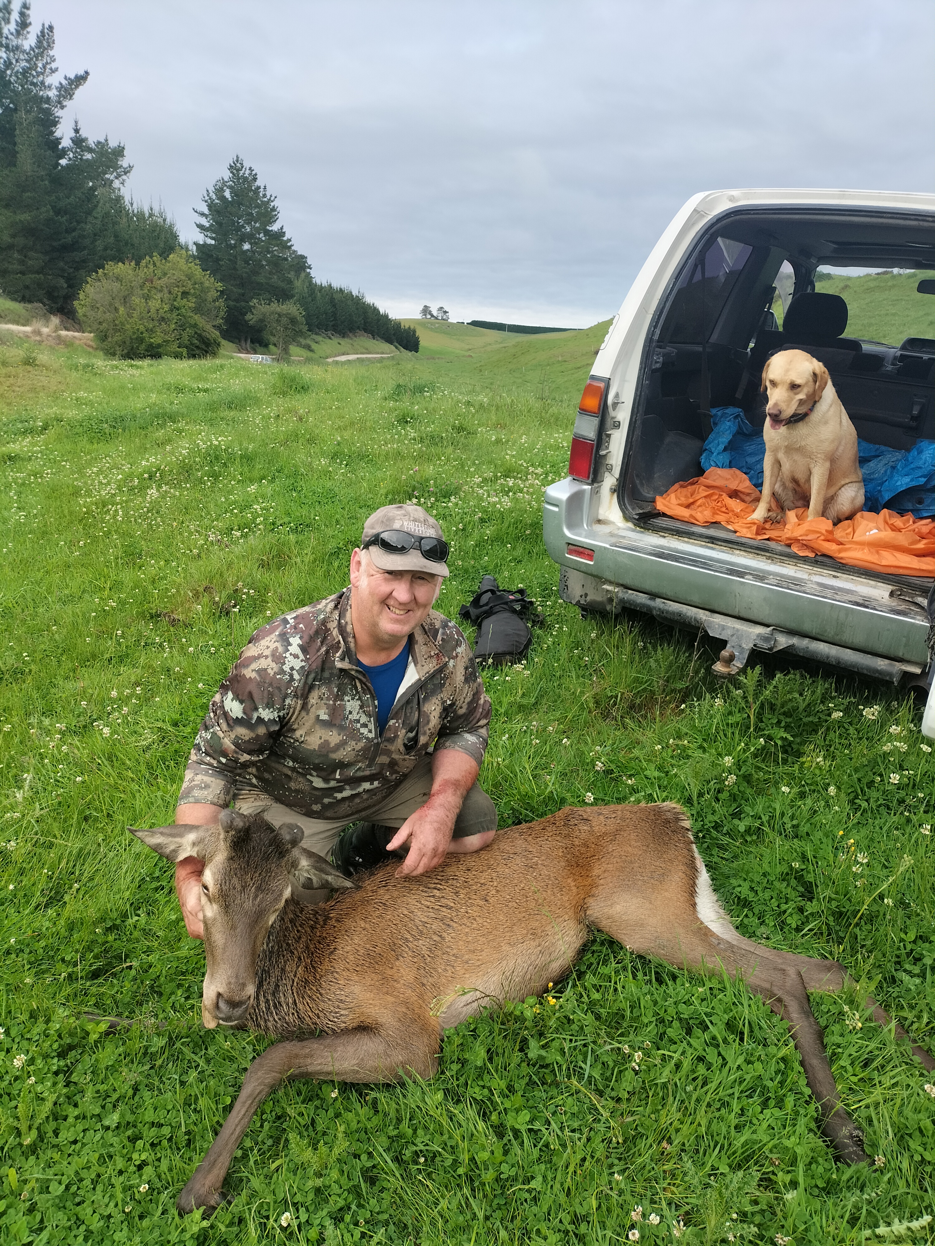 Name:  mai deer 2.jpg
Views: 747
Size:  5.15 MB