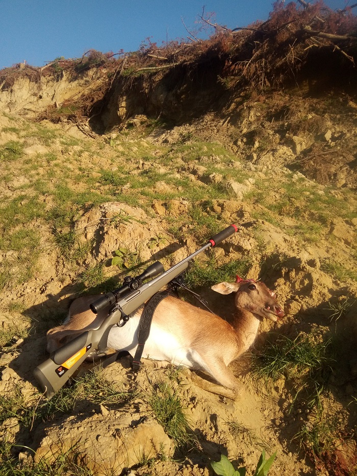 Name:  tikka .223 first kill 1.jpg
Views: 681
Size:  406.0 KB